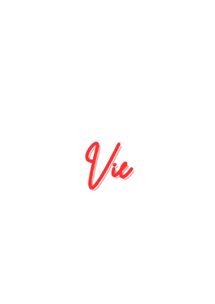 viecollection.shop